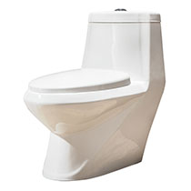 Bathx Diana One-piece toilet 
Washdown with UF Seat