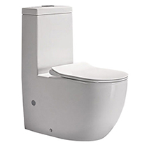 Bathx Neptune One-piece toilet 
Washdown with UF Seat